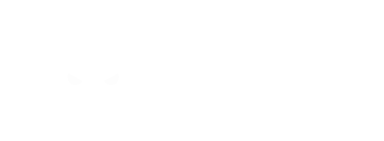 SS_logoSS_White-Horizontal SS_logoSS_White-Horizontal